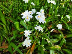 -南山风景名胜区