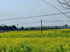 -桤木河湿地公园