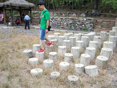 -千年银杏谷文化旅游区