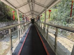 -富春桃源风景区