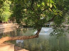 -荔湾湖公园