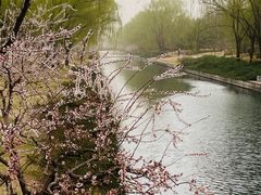 -元大都城垣遗址公园