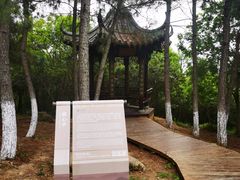 -南京市无想山景区