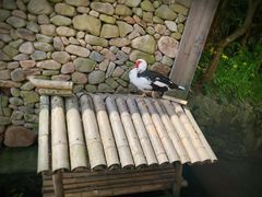 -溪口-滕头旅游景区