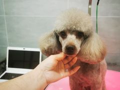 -宠福鑫康馨动物医院·骨科·眼科