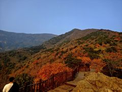 -北京十三陵国家森林公园蟒山景区