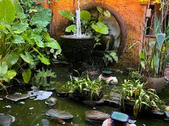 -园林美食城·本土农家菜(杨和镇店)