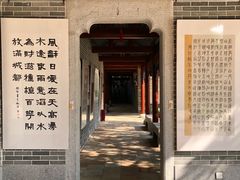 -顺峰山公园