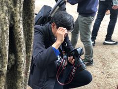-嘉定紫藤园
