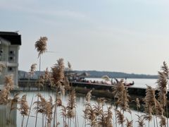 -东山风景区(洞庭东山)