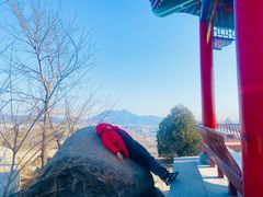 -白水寺森林公园