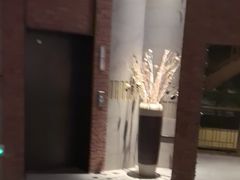 -浅深Cheersum(曹杨店)