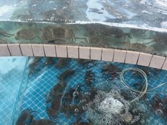-品鲜村农家菜·阳澄湖大闸蟹(总店)