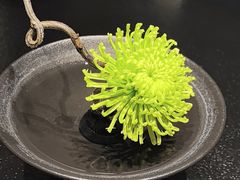 -大拙里·精致融合菜(沙湖桃源国际店)