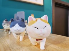 前台-猫十亿·布偶金渐层·曼基康矮脚猫舍(青年路店)