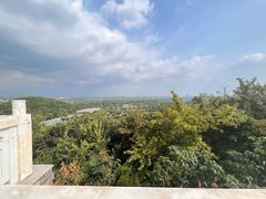 -上海佘山国家森林公园西佘山园