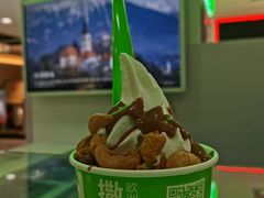 -Salud撒露欧洲冻酸奶(五道口购物中心店)
