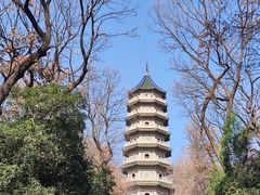 -灵谷景区