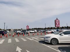 -迪士尼乐园停车场