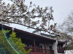 -堤角公园