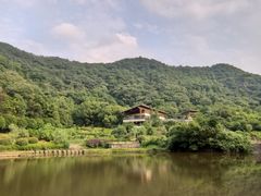 -桃花岭景区