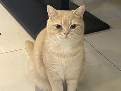 -平行世界·猫咖(首经贸店)