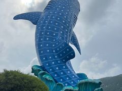 -珠海长隆海洋王国