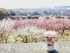 -无锡梅园公园