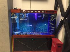 -肆月河豚·新淮扬(金融街店)