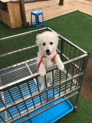 -萌宠亲子动物乐园(槐房万达店)