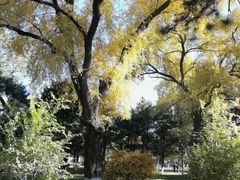 -东北大学(南湖校区)