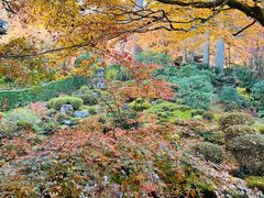 -三千院