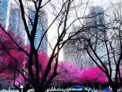 -天鹅湖体育公园