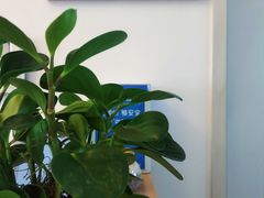 -梵舍·沙浴养生SPA