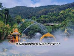 -西双版纳原始森林公园