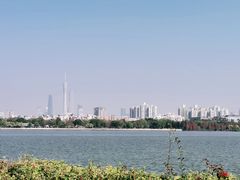 -海珠湖公园