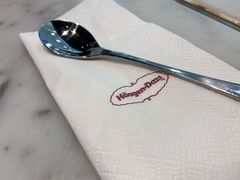 甜品勺-哈根达斯(钟楼新店)
