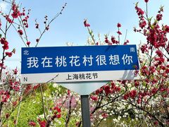 -南汇桃花村