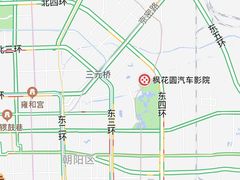 -枫花园汽车电影院(朝阳公园店)