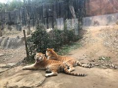 -杭州野生动物世界