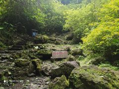 -海口火山口国家地质公园