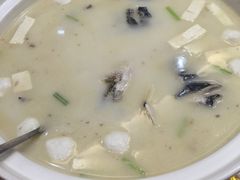 札林湖野生雄鱼头-客乡情(南京东路店)