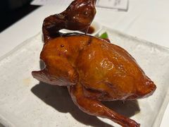 -侨美食家·41年地道粤菜(珠江新城店)