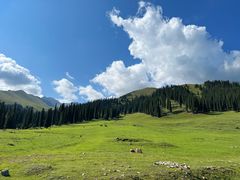 -新疆那拉提国家旅游度假区