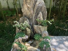 -上海醉白池公园