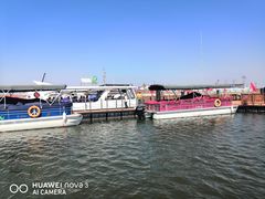 -洪湖湿地生态园