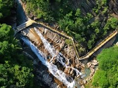 -广州白江湖森林公园