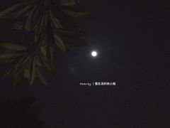 -微饮cafe