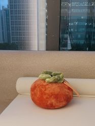 -BR光电保养