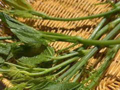 -巴奴毛肚火锅(相州店)